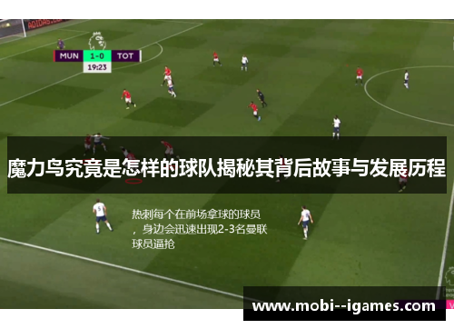 魔力鸟究竟是怎样的球队揭秘其背后故事与发展历程