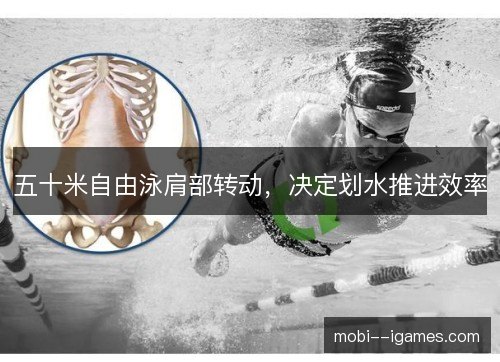 五十米自由泳肩部转动，决定划水推进效率